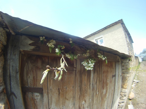 Fresh flowers decorate village houses